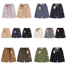 The North face Shorts-0353